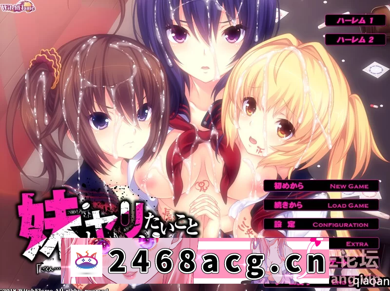 [ADV] 【拔作ADV/多P教育/PC】喜欢和妹妹们做想做的事情 AI汉化+全CG [1+2.7G][百度盘]-猫咪社